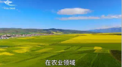 宝鸡干冰气肥